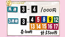 みんなのKEIBA みんなの夢馬券 細江純子 馬券画像