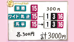 みんなのKEIBA みんなの夢馬券 井崎脩五郎 馬券画像