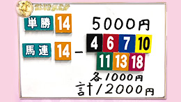 みんなのKEIBA みんなの夢馬券 橋本マナミ 馬券画像