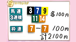 みんなのKEIBA みんなの夢馬券 井崎脩五郎 馬券画像