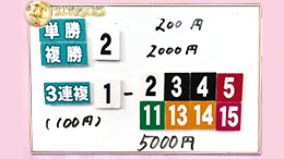 みんなのKEIBA みんなの夢馬券 細江純子 馬券画像