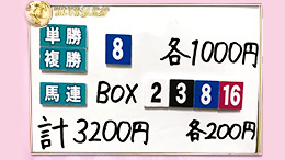 みんなのKEIBA みんなの夢馬券 井崎脩五郎 馬券画像