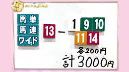 みんなのKEIBA みんなの夢馬券 井崎脩五郎 馬券画像