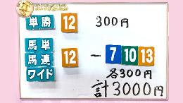 みんなのKEIBA みんなの夢馬券 井崎脩五郎 馬券画像