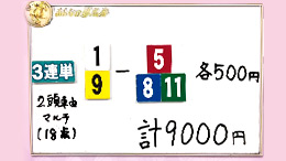 みんなのKEIBA みんなの夢馬券 元木大介 馬券画像