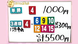 みんなのKEIBA みんなの夢馬券 高田秋 馬券画像