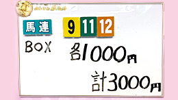 みんなのKEIBA みんなの夢馬券 井崎脩五郎 馬券画像