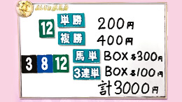 みんなのKEIBA みんなの夢馬券 井崎脩五郎 馬券画像