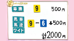 みんなのKEIBA みんなの夢馬券 井崎脩五郎 馬券画像