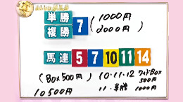 みんなのKEIBA みんなの夢馬券 細江純子 馬券画像