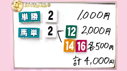 みんなのKEIBA みんなの夢馬券 井崎脩五郎 馬券画像