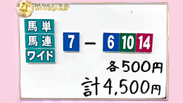 みんなのKEIBA みんなの夢馬券 井崎脩五郎 馬券画像