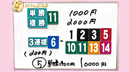 みんなのKEIBA みんなの夢馬券 細江純子 馬券画像