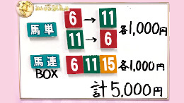 みんなのKEIBA みんなの夢馬券 井崎脩五郎 馬券画像