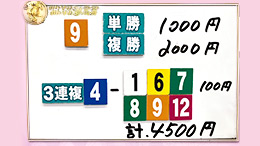みんなのKEIBA みんなの夢馬券 細江純子 馬券画像
