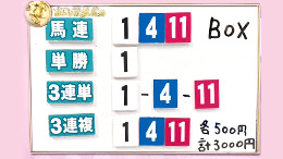 みんなのKEIBA みんなの夢馬券 井崎脩五郎 馬券画像