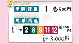 みんなのKEIBA みんなの夢馬券 井崎脩五郎 馬券画像