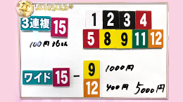 みんなのKEIBA みんなの夢馬券 細江純子 馬券画像