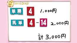 みんなのKEIBA みんなの夢馬券 井崎脩五郎 馬券画像