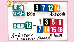 みんなのKEIBA みんなの夢馬券 細江純子 馬券画像