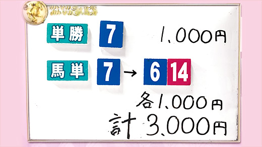 みんなのKEIBA みんなの夢馬券 井崎脩五郎 馬券画像