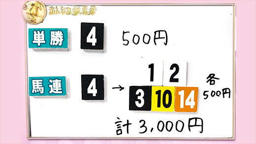 みんなのKEIBA みんなの夢馬券 井崎脩五郎 馬券画像