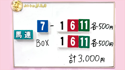 みんなのKEIBA みんなの夢馬券 井崎脩五郎 馬券画像