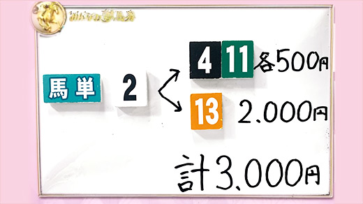みんなのKEIBA みんなの夢馬券 井崎脩五郎 馬券画像