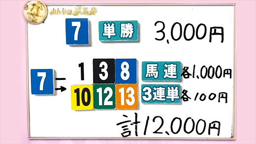 みんなのKEIBA みんなの夢馬券 板津雄志 馬券画像