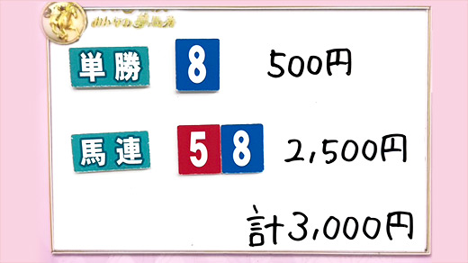 みんなのKEIBA みんなの夢馬券 井崎脩五郎 馬券画像