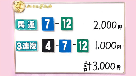 みんなのKEIBA みんなの夢馬券 井崎脩五郎 馬券画像