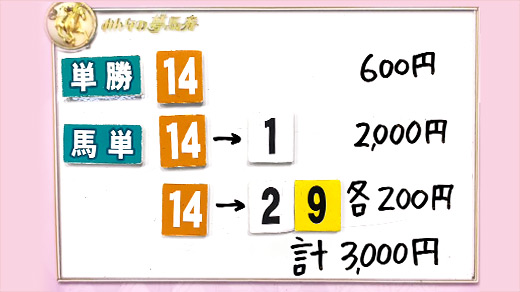 みんなのKEIBA みんなの夢馬券 井崎脩五郎 馬券画像