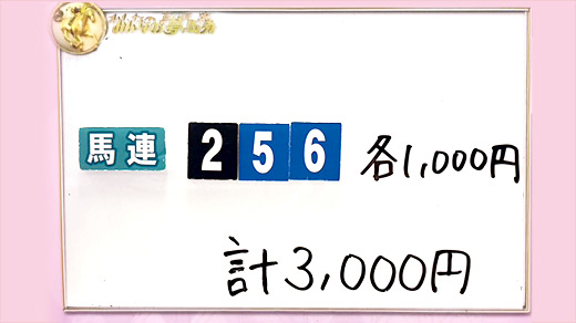 みんなのKEIBA みんなの夢馬券 井崎脩五郎 馬券画像