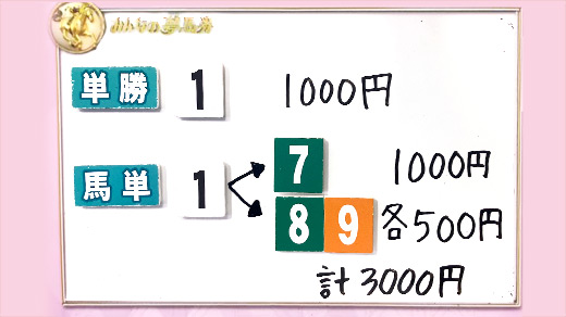 みんなのKEIBA みんなの夢馬券 井崎脩五郎 馬券画像