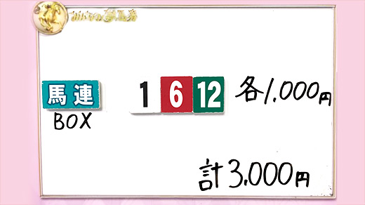 みんなのKEIBA みんなの夢馬券 井崎脩五郎 馬券画像