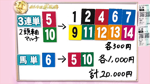 みんなのKEIBA みんなの夢馬券 ンダホ 馬券画像