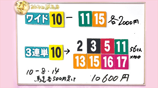 みんなのKEIBA みんなの夢馬券 細江純子 馬券画像