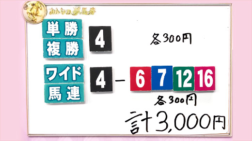 みんなのKEIBA みんなの夢馬券 井崎脩五郎 馬券画像