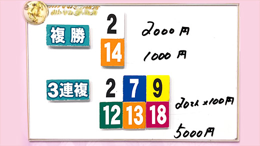 みんなのKEIBA みんなの夢馬券 細江純子 馬券画像