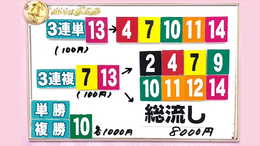 みんなのKEIBA みんなの夢馬券 細江純子 馬券画像