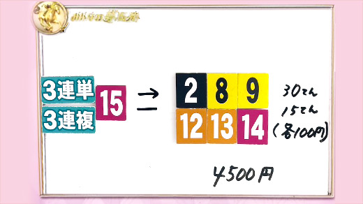みんなのKEIBA みんなの夢馬券 細江純子 馬券画像