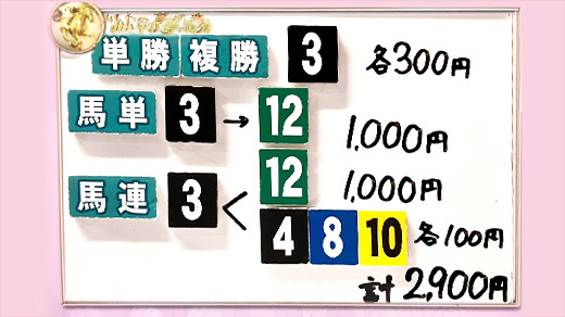 みんなのKEIBA みんなの夢馬券 井崎脩五郎 馬券画像