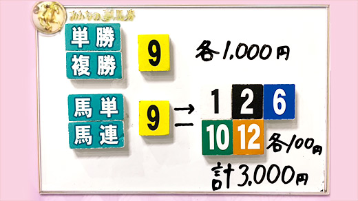 みんなのKEIBA みんなの夢馬券 井崎脩五郎 馬券画像