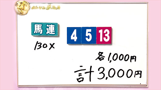 みんなのKEIBA みんなの夢馬券 井崎脩五郎 馬券画像