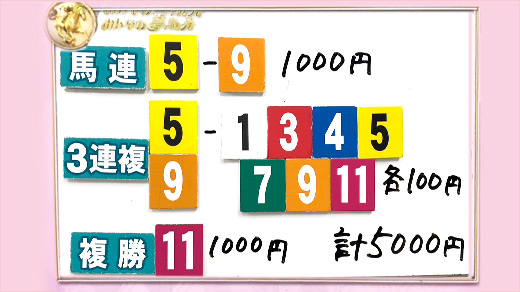みんなのKEIBA みんなの夢馬券 細江純子 馬券画像
