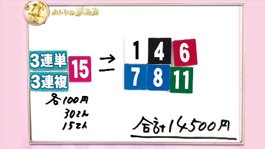 みんなのKEIBA みんなの夢馬券 細江純子 馬券画像