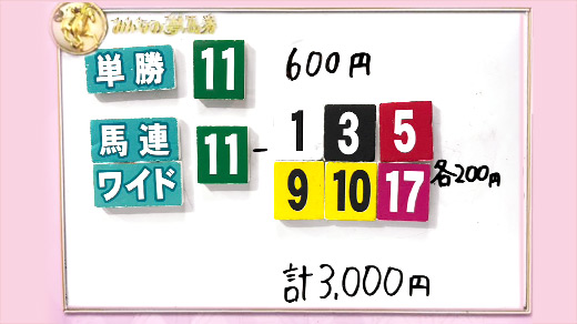 みんなのKEIBA みんなの夢馬券 井崎脩五郎 馬券画像