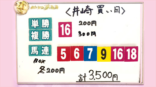 みんなのKEIBA みんなの夢馬券 井崎脩五郎 馬券画像