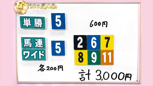 みんなのKEIBA みんなの夢馬券 井崎脩五郎 馬券画像