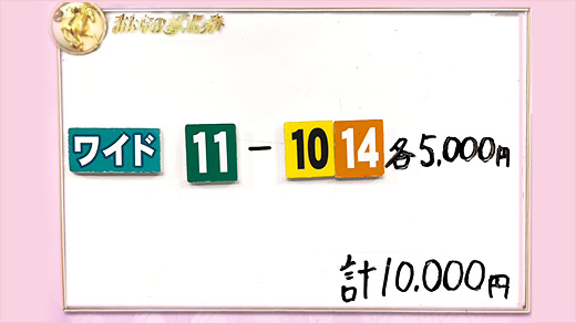 みんなのKEIBA みんなの夢馬券 DAIGO 馬券画像